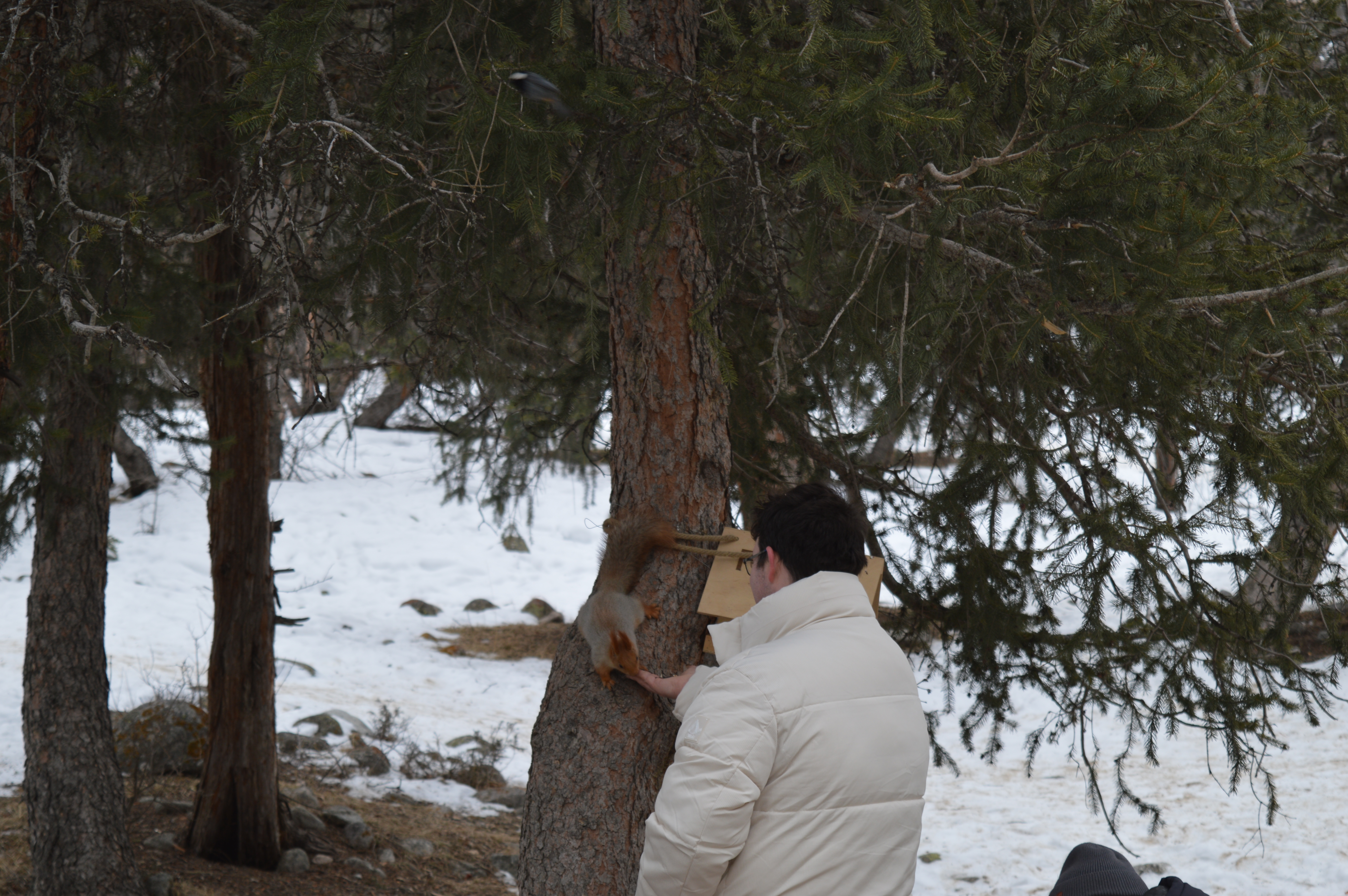 Tour photo 6